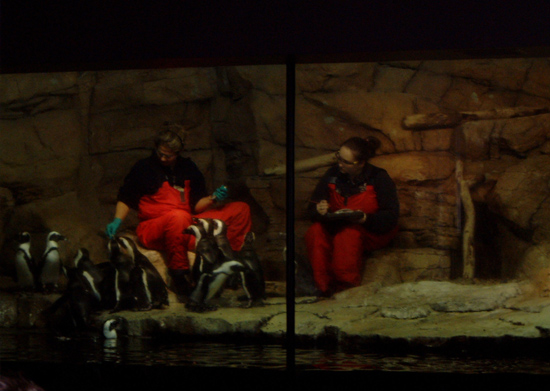2004_0104_161346AA